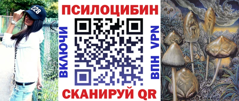 дарк нет как зайти что такое Верея Псилоцибиновые грибы Cubensis
